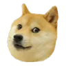 Doge