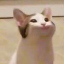 boutta_pop Discord emoji