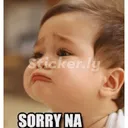 vsk_sorry_raa vsk_sorry_raa
