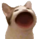 PogoCat Discord Emoji