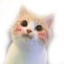 Blush Cat blushCat Discord Emoji