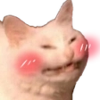 https://cdn.discordapp.com/emojis/946880076337803294.webp?size=160&quality=lossless