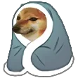 cozy_doggo