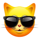 sunglassescat