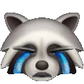8304cryingraccoon Discord Emoji