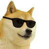 doge