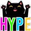 hypeAni hypeAni