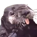JoeyBleh