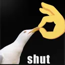 Shut