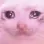 cat_sad cat_sad
