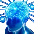 MASSIVEbrain