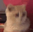 yespls Discord emoji