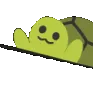 bongoturtle