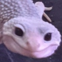 hamsmile Discord emoji