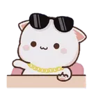 Ace_RichCat Discord Emoji