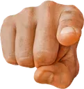 point_you