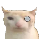 sirhighdefinitionJebbediahBrown