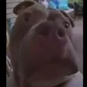 splixr