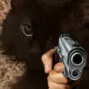 NigelGunShoot