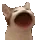 hamham hamham
