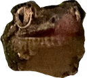 walnut Discord emoji