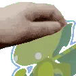 PetTheChirr