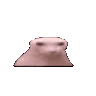 bingus_SEX