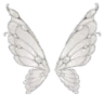 white_wbutterfly