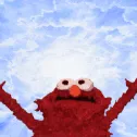 blessed_elmo