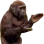 monkeclap