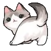 CIcatbutt CIcatbutt