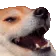 DOGEKEKE