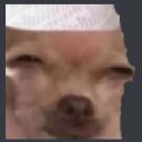 dog_sus Discord emoji