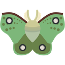 mothluna Discord emoji