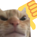 catThumbsDown Discord emoji