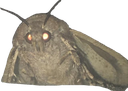 lampmoth Discord emoji