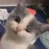 wink wink