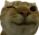 Catwink catwink Discord Emoji