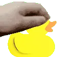 DuckPet_gen2