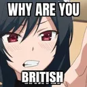 A2_FRIKNBRIT