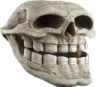 skulltf