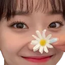 SuminFlowerNose