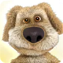 ben ben