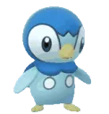 PIPUM