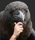berbthonk