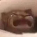wahhh