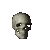 skullrotation