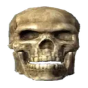 THESKELETON