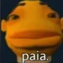q_paia