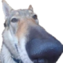 gotdamn Discord emoji